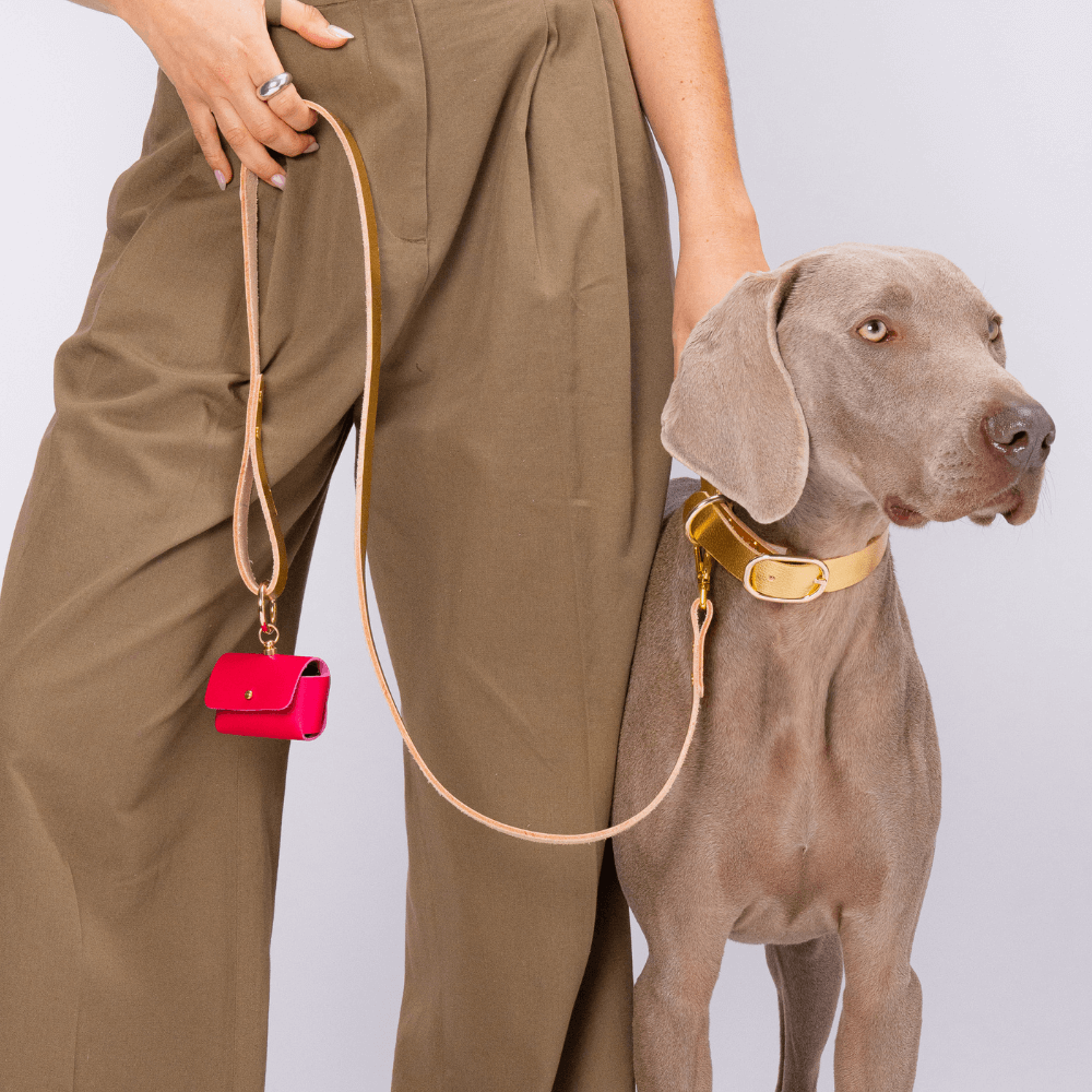 Paris- Atelier ceinture & collier de chien