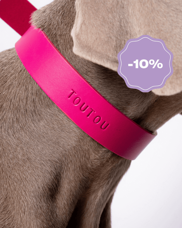 carte-cadeau-duo-atelier-colliers-de-chiens