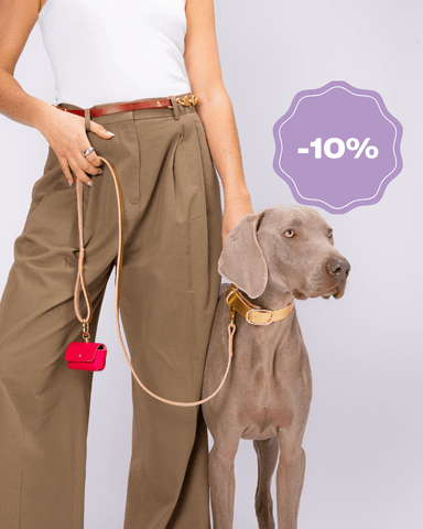 Carte cadeau DUO • Atelier Colliers de chiens