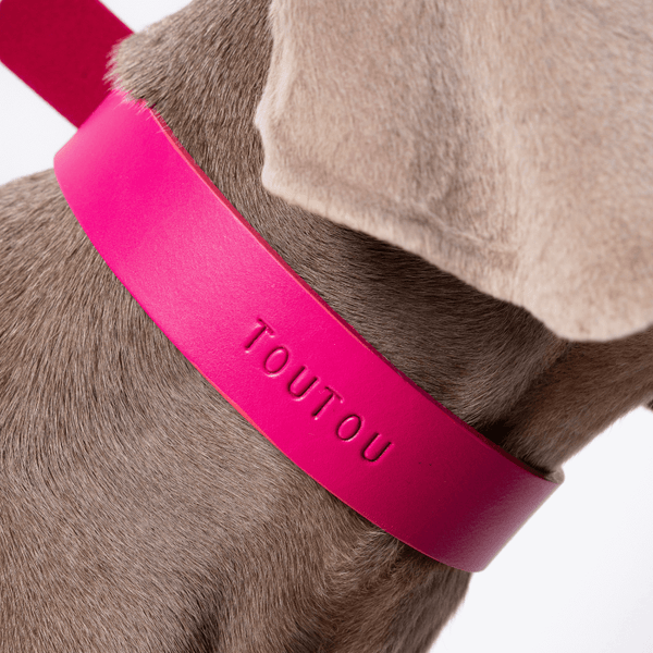 paris-atelier-ceinture-amp-collier-de-chien