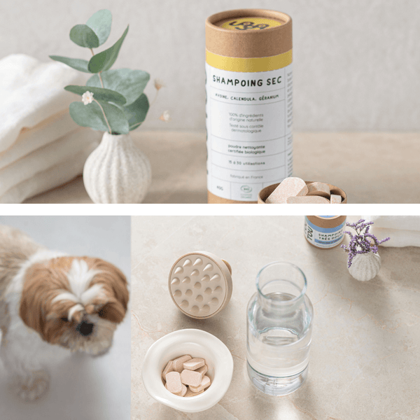 pigeoncoq-ateliers-de-maroquinerie-diy-et-kits-creatifs-en-cuir-revalorise-pour-fabriquer-vos-propres-sacs-a-main-et-accessoires-a-paris-et-marseille-plongez-dans-l-artisanat-du-cuir-et-creez-des-pieces-uniques-ecoresponsables-et-faites-main-evenements-teambuilding-et-cadeaux-personnalises